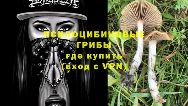крисы Вязьма