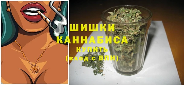 крисы Вязьма