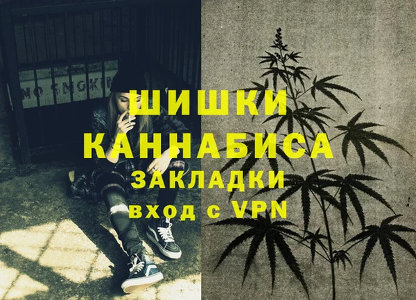 кокс Вяземский