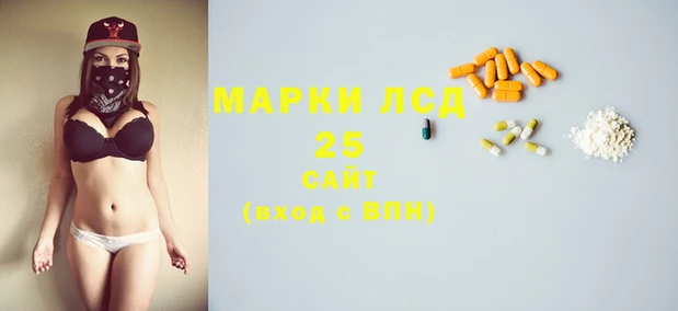 крисы Вязьма