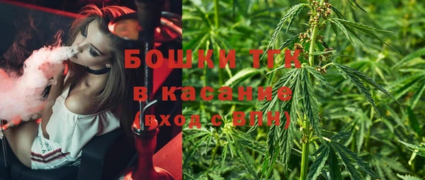 крисы Вязьма