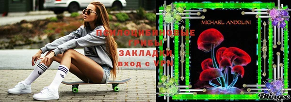 кокс Вяземский