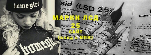 крисы Вязьма