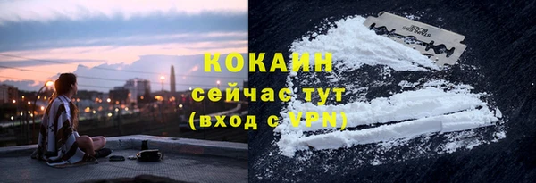 кокс Вяземский