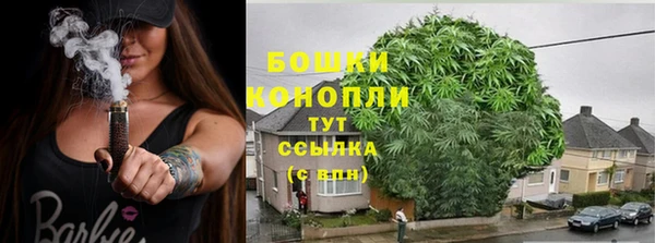 крисы Вязьма
